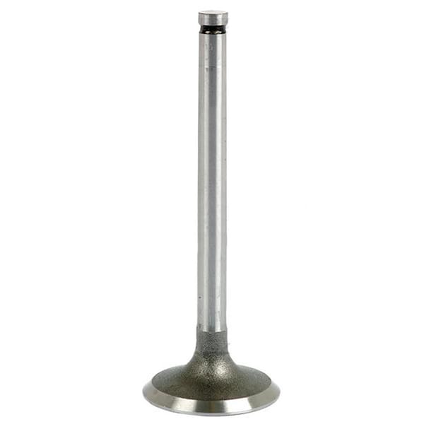 Aftermarket Tractor Intake Valve For 170 175 165 255 275 285 290 690 6000 736812M1 - main